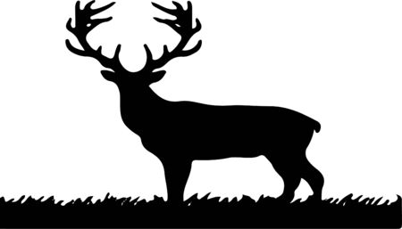 deer icon isolated on backgroundのイラスト素材