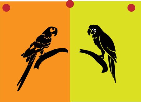 parrot icon isolated on backgroundのイラスト素材