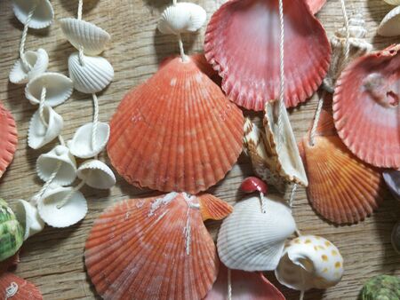 Decorative materials made from sea shellsの写真素材