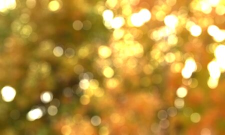 color bokeh nature theme background