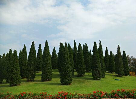 garden arrangement in a festivalの写真素材