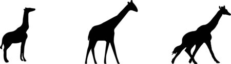 giraffe vector illustration on backgroundのイラスト素材
