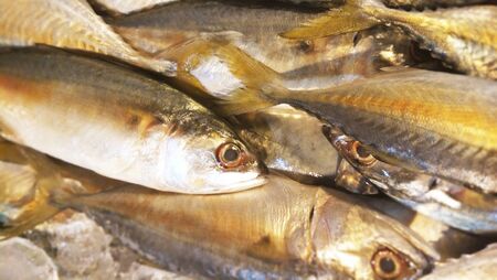 fish at the outdoor marketの写真素材