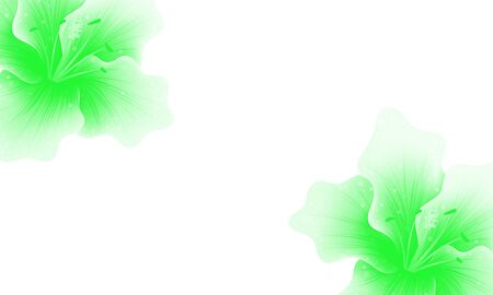 abstract color background with color flowerの写真素材