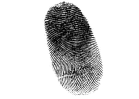 finger print illustration on white backgroundの写真素材