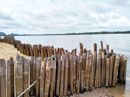 A typical wooden fence along the barrier sand dunes in Thailand.の写真素材