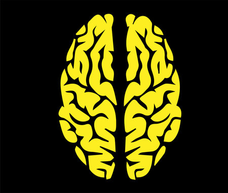 brain icon isolated on backgroundのイラスト素材