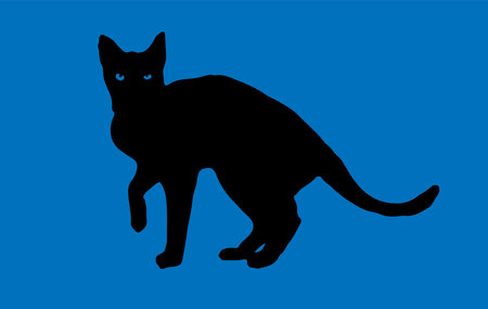 cat vector isolated on backgroundのイラスト素材
