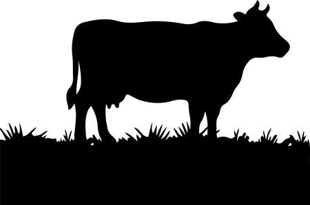 cow vector illustration isolated on backgroundのイラスト素材