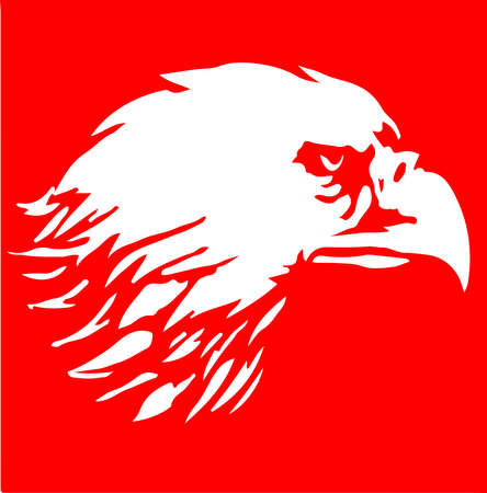eagle icon isolated on backgroundのイラスト素材