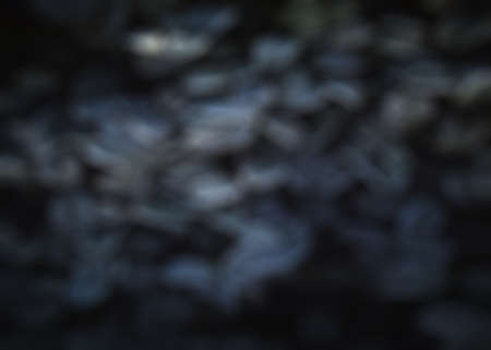 Celebration abstract background with bokeh lightsの写真素材