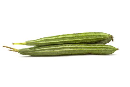 Ridge gourds isolated on white background の写真素材