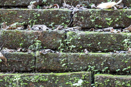 Close up of old  brick-wall, texture backgroundの写真素材