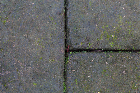 Texture of old stone wall covered green mossの写真素材