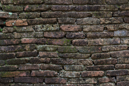 Texture of old stone wall covered green mossの写真素材