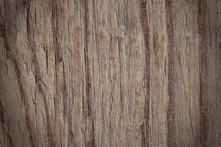 Wood Texture Backgroundの写真素材