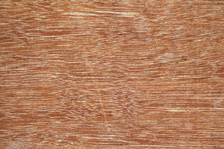 Wood Texture Backgroundの写真素材