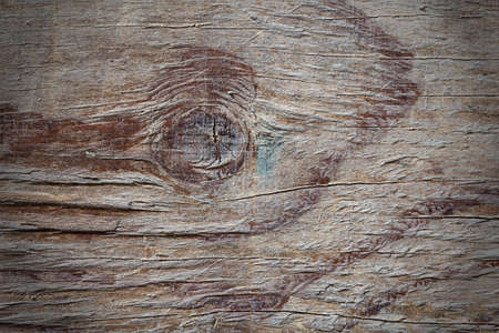 Wood Texture Backgroundの写真素材
