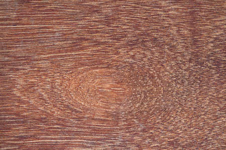 Wood Texture Backgroundの写真素材