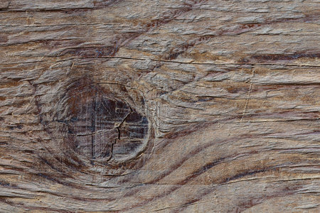 Wood Texture Backgroundの写真素材