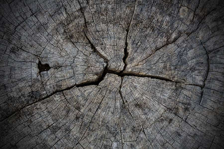 wood texturewood texture backgroundの写真素材
