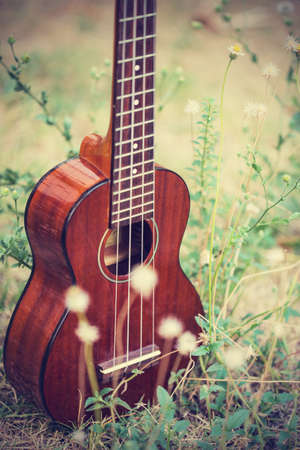 Ukulele processed in vintage  styleの写真素材