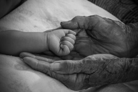 Hands of the old woman. Black and White.の写真素材