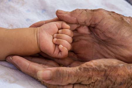 Hand of woman touching senior woman in clinic.の写真素材