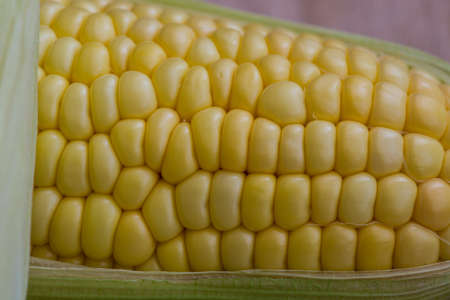 Corn cobs on wood backgroundの写真素材