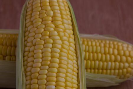 Corn cobs on wood background