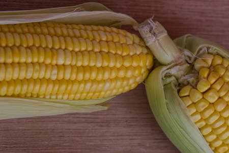 Corn cobs on wood background