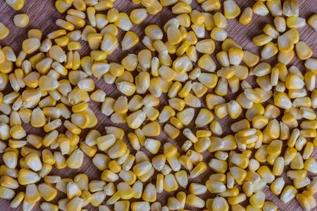 Closeup corn grains on wood backgroundの写真素材