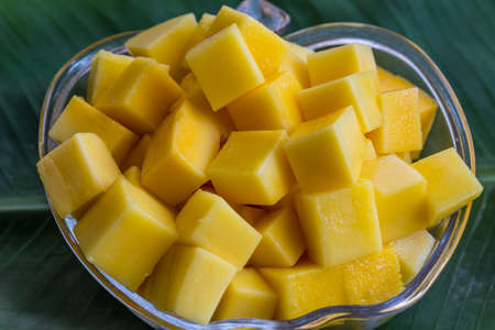 Mangoの写真素材