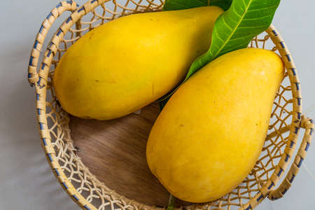 Mangoの写真素材