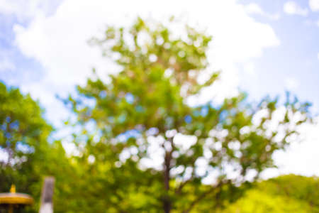 Blur image, Abstract Bokeh and natural background.の写真素材