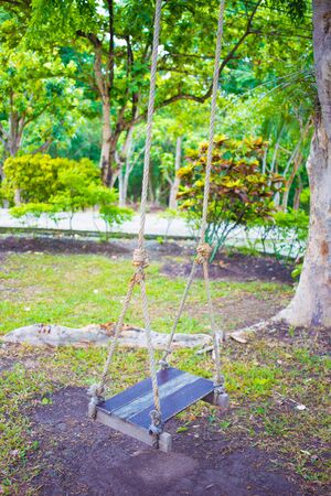 An old wood swing hanged on a tree in the park.の写真素材