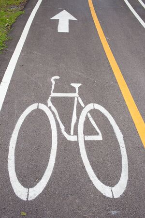 Bicycle Lanes in Parkの写真素材
