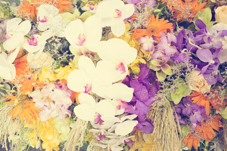 flower background -vintage effect style pictures.の写真素材