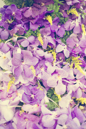 flower background -vintage effect style pictures.の写真素材