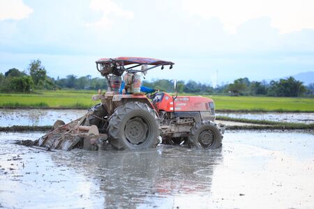 Tractor plowing a rice field in Chiang Mai, Thailand on August 07, 2015.のeditorial素材