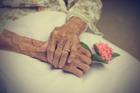 Hands of old woman holding a flowerの写真素材