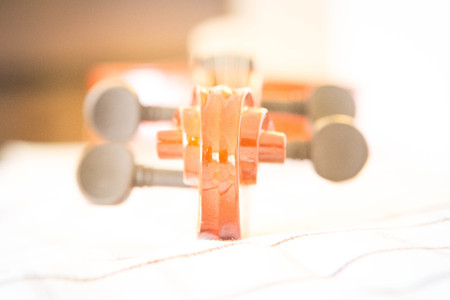 Violin music instrument of orchestraの写真素材