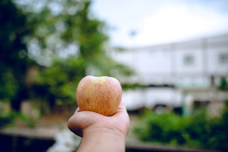 Hands and apples of people who love health care. Eating apples with vitamin C, the concept of health...