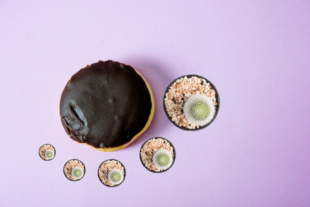 Chocolate donut, coated with chocolate and sprinkled with donuts. Lay on a pink background.