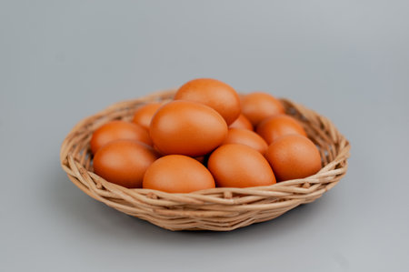 Chicken eggs in a panel. Clean chicken eggs on a gray background.の写真素材