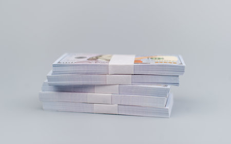 dollars savings and investments financial assets, investments, investment plans financial stocks financial credit, cash flow, income, salary, dollarsの写真素材