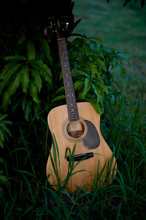 Acoustic guitar, stringed musical instrument, placed in the grass, classical guitar, playing music...