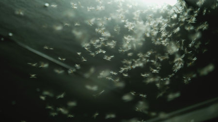 Swarms of insects, small creatures in nature, mothsの写真素材