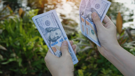 Dollar Currency and Financial Investment Planning Cash Flow and Financial Success Goalsの写真素材