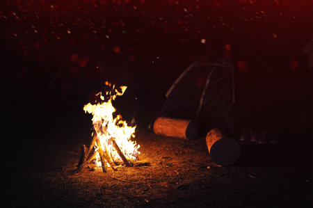 Camping, hiking, and nature-related activities are all part of the experience. Tourists are hiking and relaxing in the forest.の写真素材